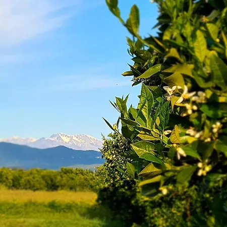 Relais De Bravone Lägenhet Linguizzetta