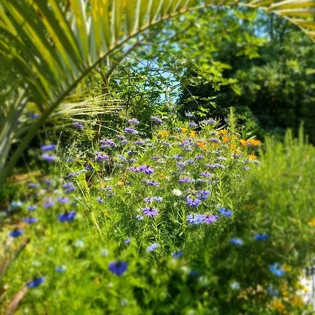 Relais De Bravone * Linguizzetta