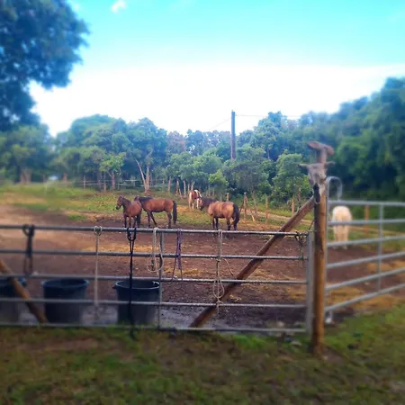 Lägenhet Relais De Bravone