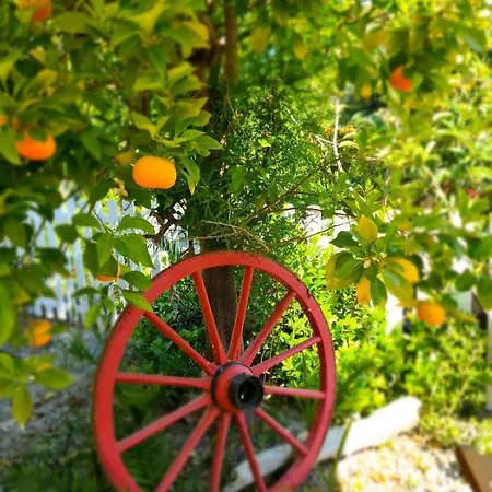 Relais De Bravone Lägenhet Linguizzetta