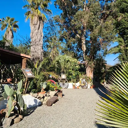 Lägenhet Relais De Bravone Linguizzetta