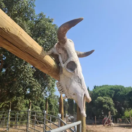 Relais De Bravone Lägenhet Linguizzetta