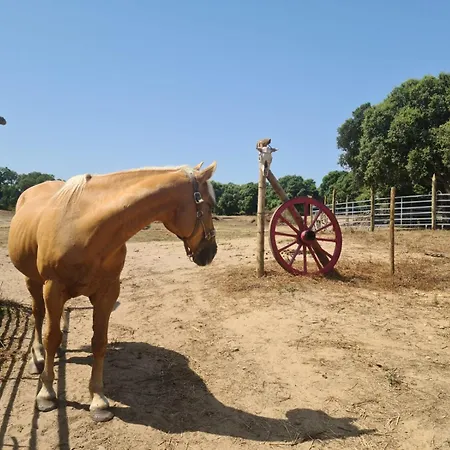 Lägenhet Relais De Bravone *