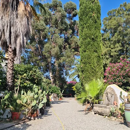 Lägenhet Relais De Bravone Linguizzetta