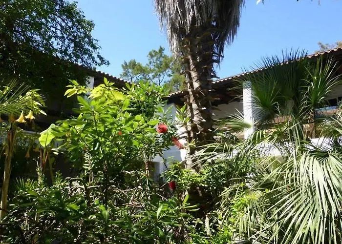 Relais De Bravone Linguizzetta