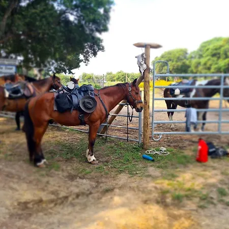 Relais De Bravone Apartment