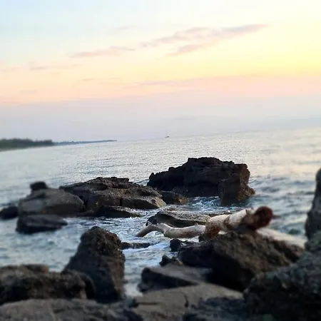 Διαμέρισμα Relais De Bravone