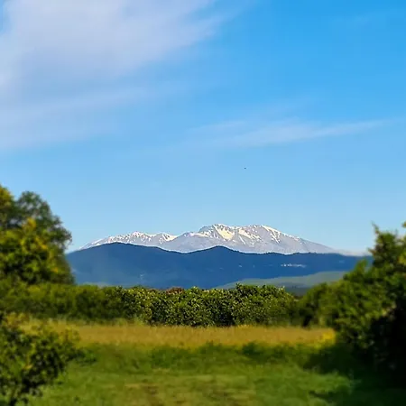 Relais De Bravone Apartment