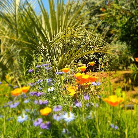 Relais De Bravone Διαμέρισμα