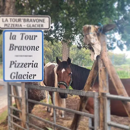 Apartamento Relais De Bravone Linguizzetta