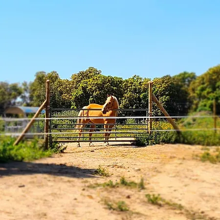 Relais De Bravone Linguizzetta