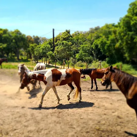 Relais De Bravone Apartment *