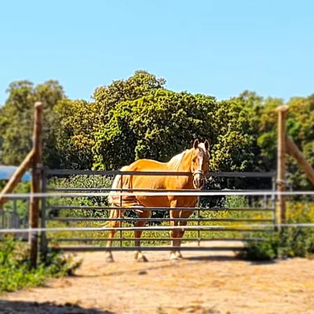 Apartamento Relais De Bravone