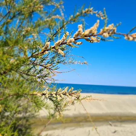 Relais De Bravone Διαμέρισμα