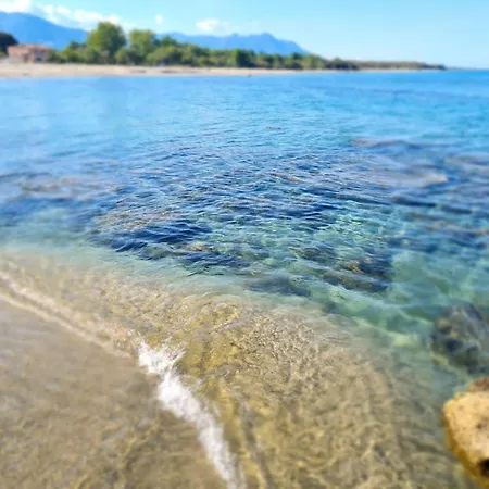 Relais De Bravone Linguizzetta