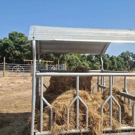 Διαμέρισμα Relais De Bravone Linguizzetta