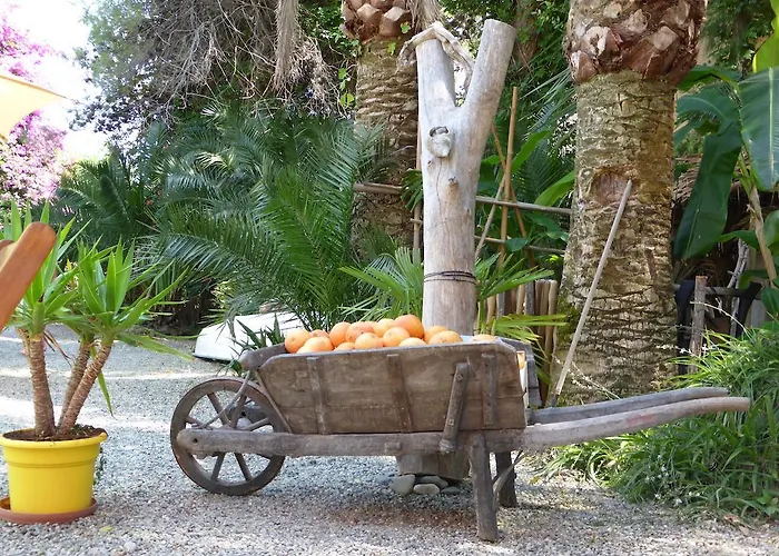 Relais De Bravone Linguizzetta